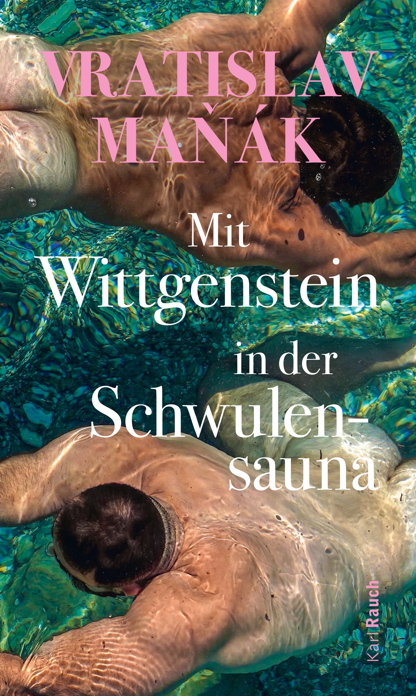 Mit Wittgenstein in der Schwulensauna