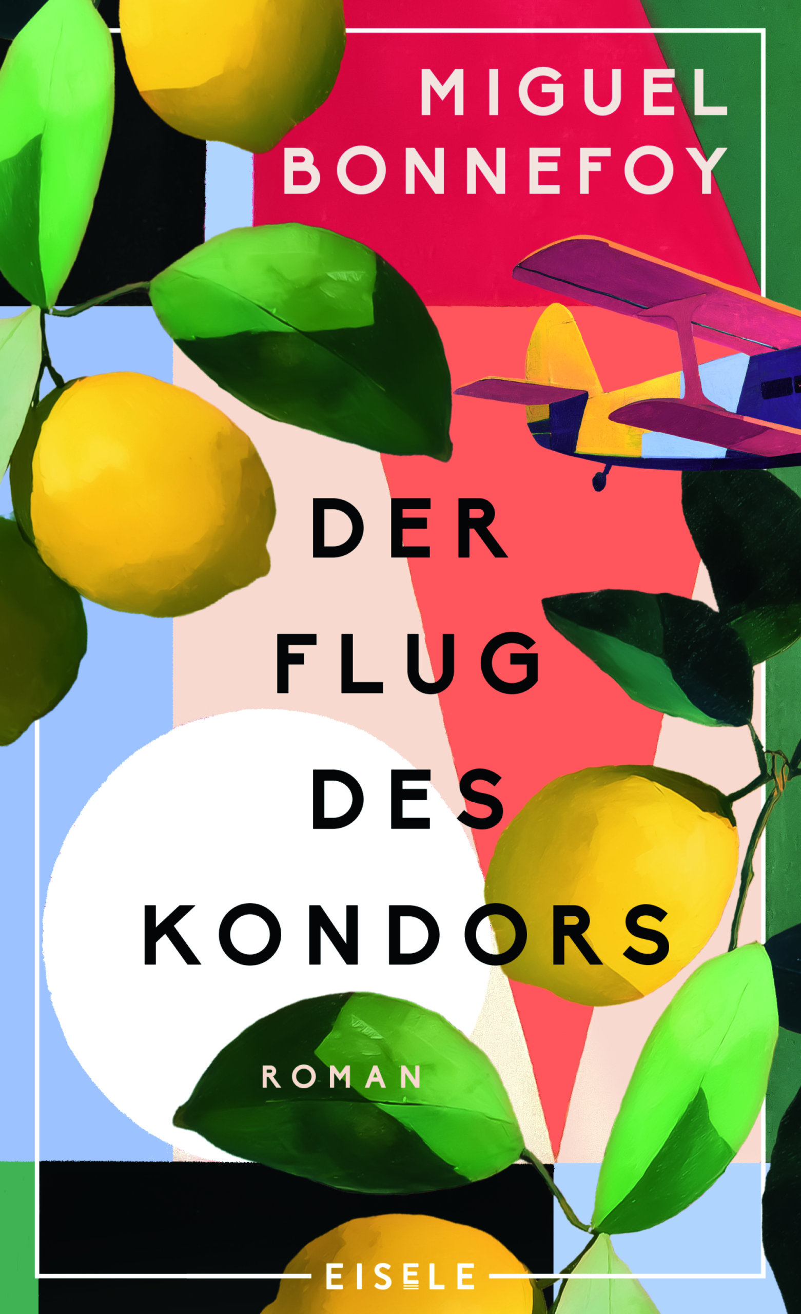Der Flug des Kondors